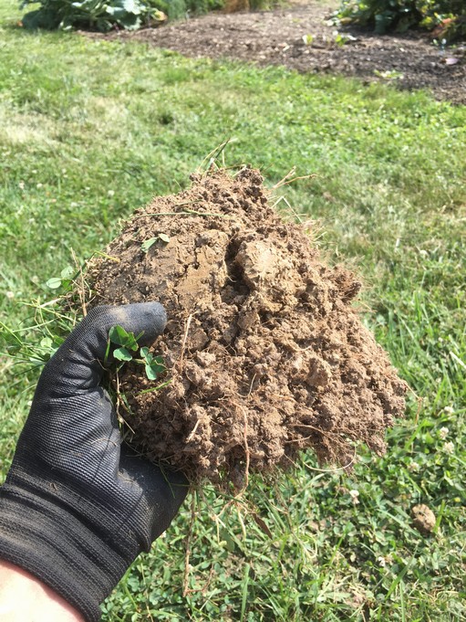 Clay sod, hard work, improving with sand