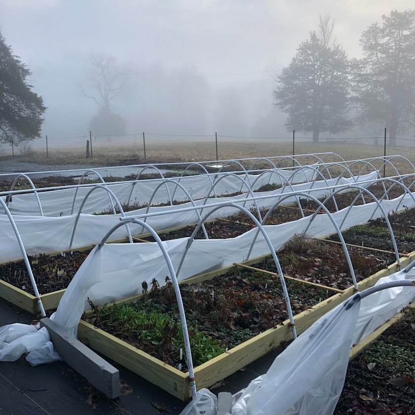 US Perennials nursery in very early spring