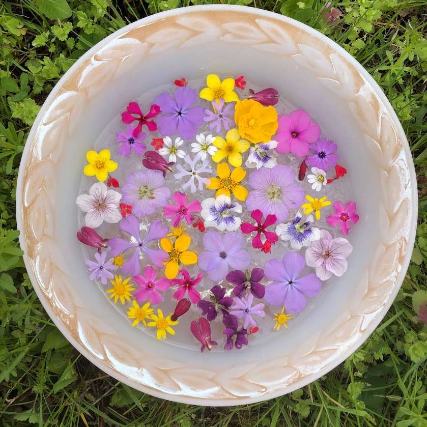 Perennial flowers in flower arrangement made out of native wildflowers and their cultivars